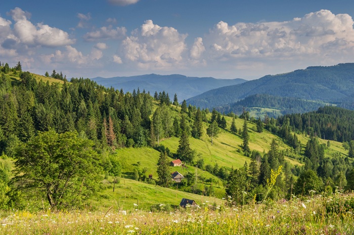 blog-image