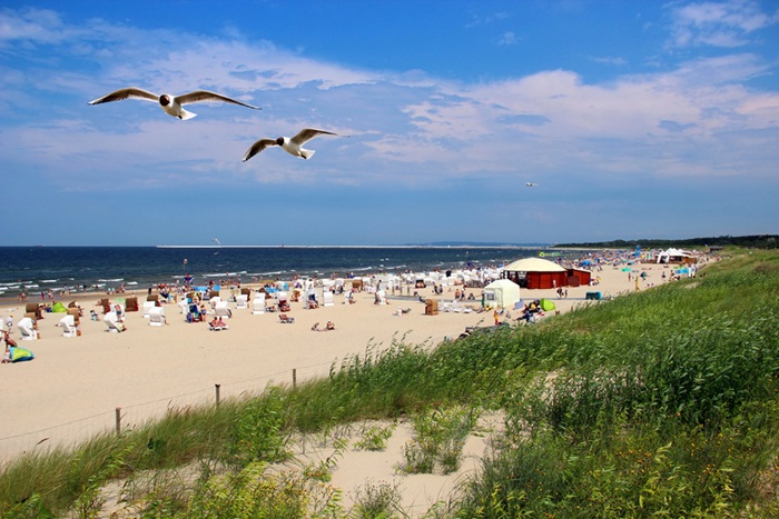 blog-image