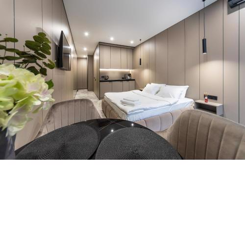 Апартаменти-студіо "Premium Lux Apartments French Quarter 2" з гідромасажною ванною чи з душем