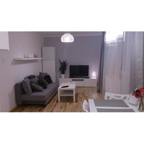 1 Bedroom City Center Apartment