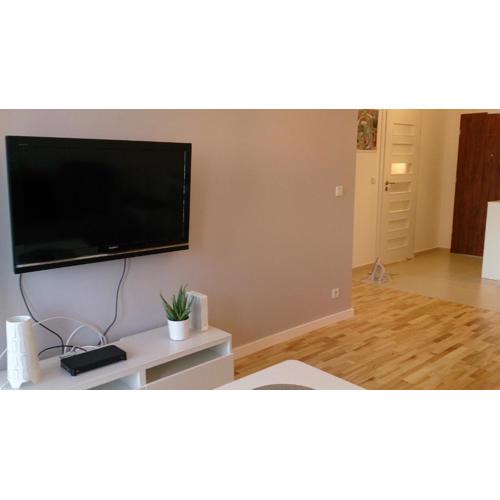 1 Bedroom Francuska Park Apartment