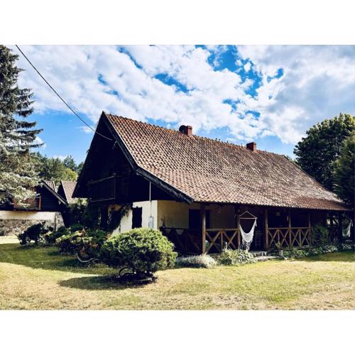 #1 Lakeview Paradise in Mazury, pets welcome