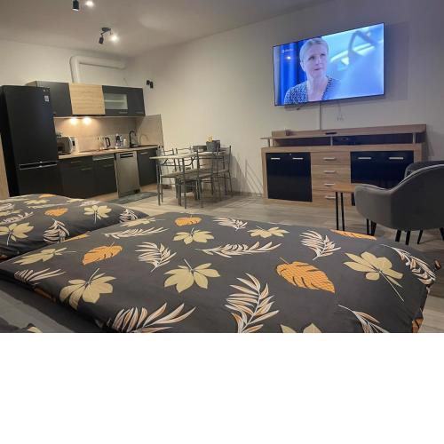 1-room apartment center Rajecké Teplice