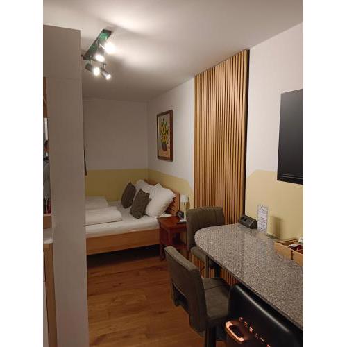 1 Zimmer Appartement nahe Gmunden Top2