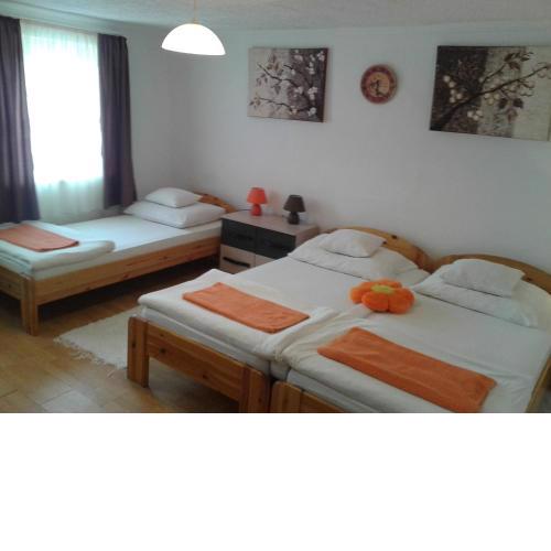 100 ÉVES NOSZTALGIA APARTMAN