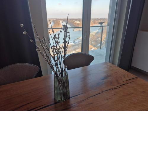 17th Floor with River View Panorama