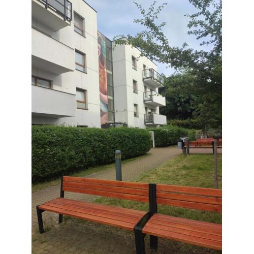 2 rooms near the main city