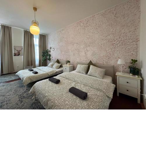 2BDR Pretty Apartment in the Local Area of Prague