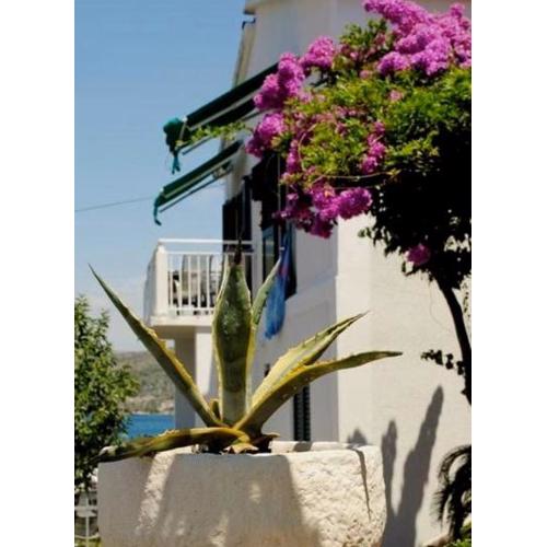 3 bedroom Apartment on the sea with garden