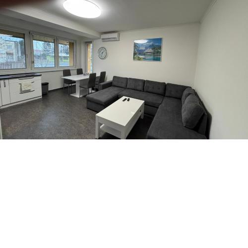 3 Bedroom Apartment U Sokolovny