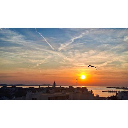 365 Sunsets Apartment by Belmont Realty
