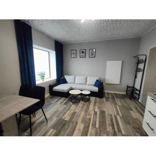 722 Slate Apartament Jedlina-Zdrój