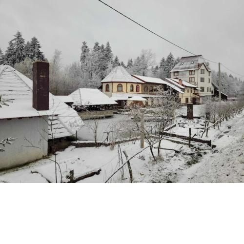Ворота Карпат