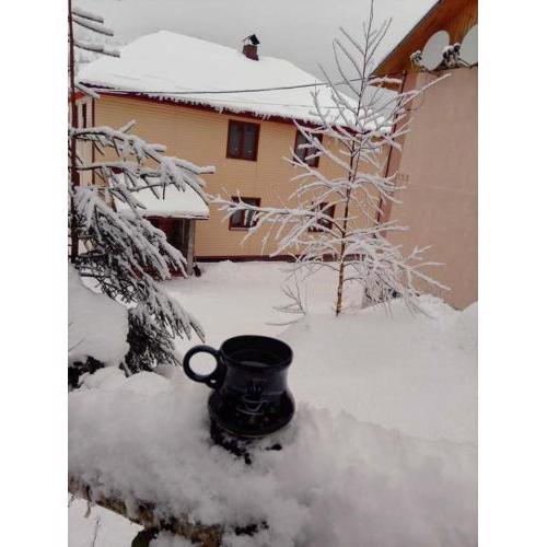 Червона Калина