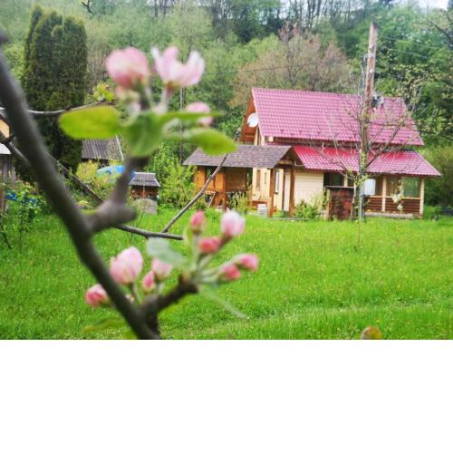 Карпатський світанок
