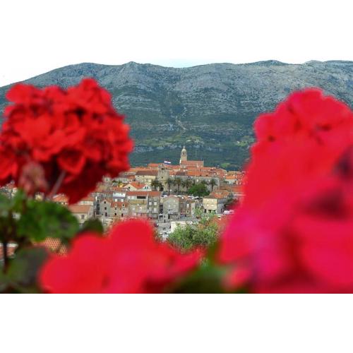 Accommodation Drasko