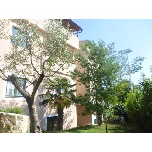 Accomodation Suran 2
