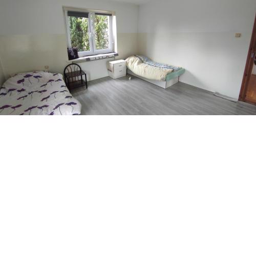 Adam rooms