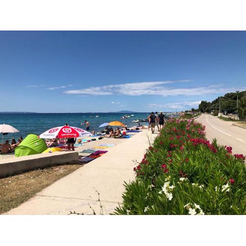 Adriatic House