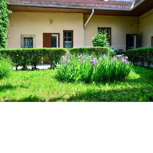 Afrodité Apartmanok