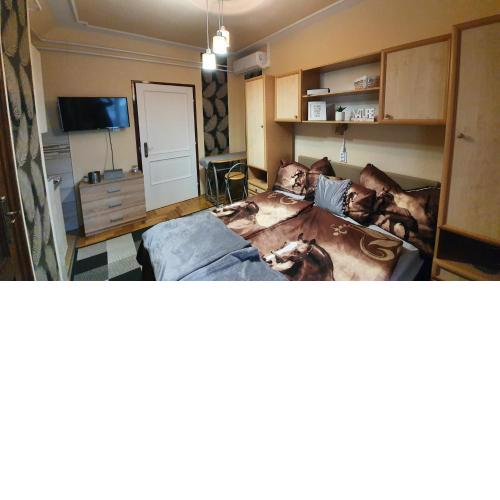 Ágnes Vendégházak Siófok-apartman 1