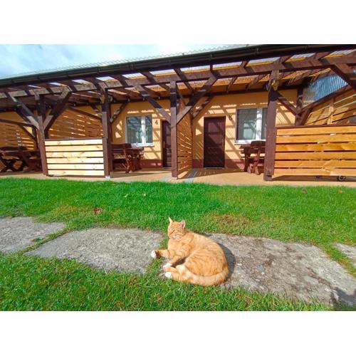 Agroturystyka Alex