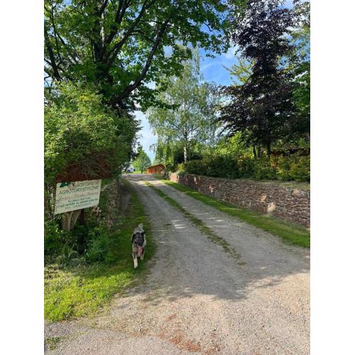 Agroturystyka Lucyna Babińska