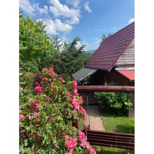 Agroturystyka Nad Stawem