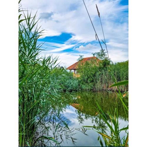Agroturystyka Pod Podkową