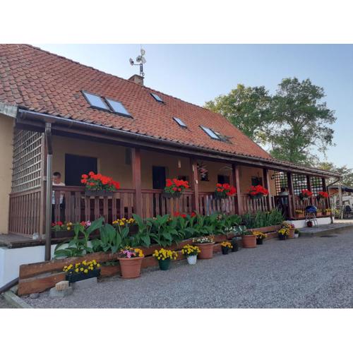 Agroturystyka U Zawiszy