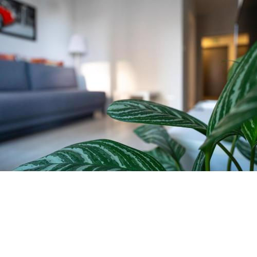 Airport Residence Green