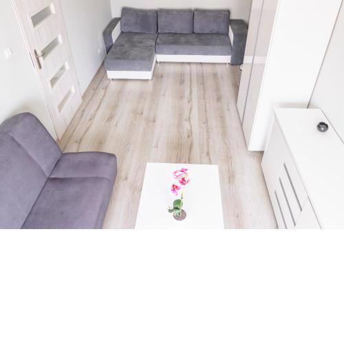 AL-DOM Apartamenty Apartament IZI