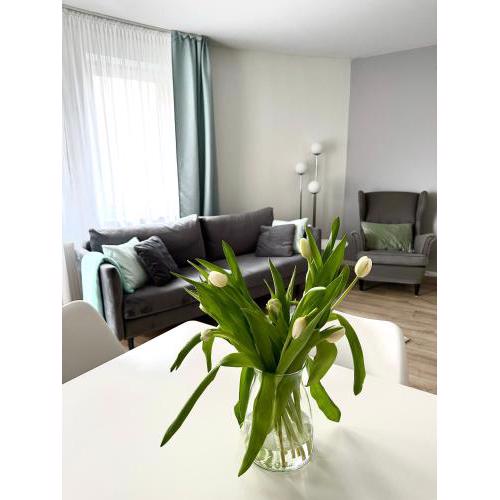 AL-DOM apartamenty Olymp 109