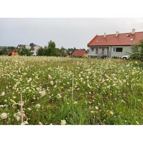 Albatrosa 17 - apartament nr 4