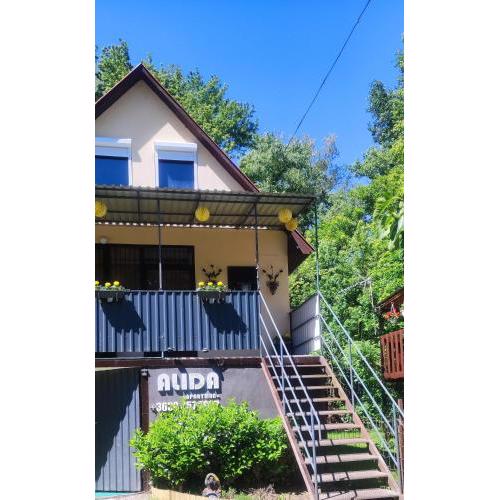Alida apartman Tokaj Tisza part