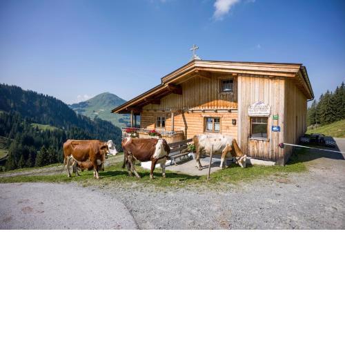 Alm-Appartement - Fam. Niedermühlbichler