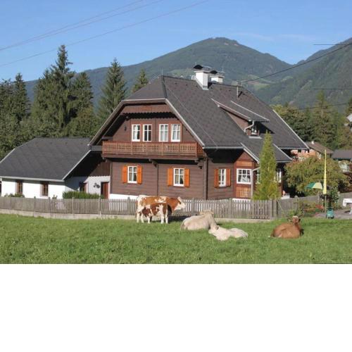 Almenblick