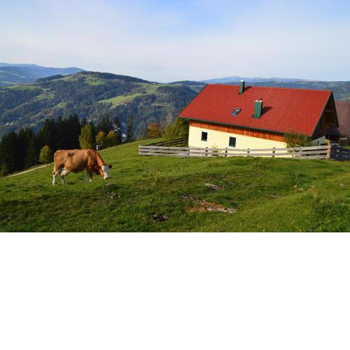 Almferienhaus Russmann