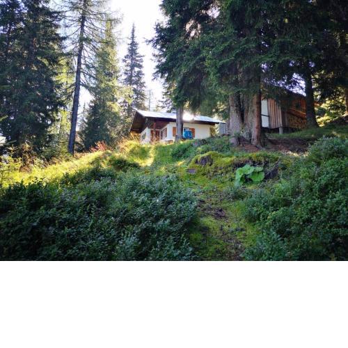 Almhütte auf 1850 Höhenmeter