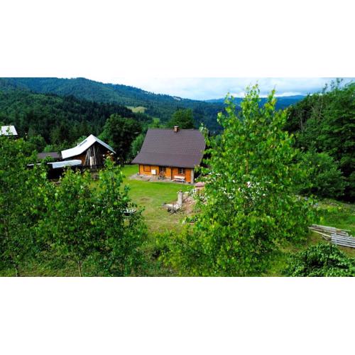 Alpejski Azyl Wisła