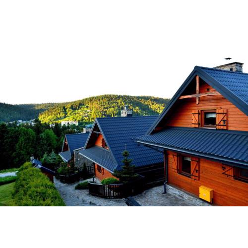 Alpejskie Domy Ski House