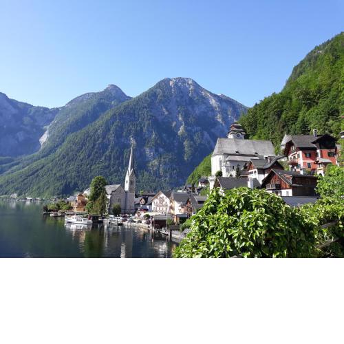 Alpen Apartement