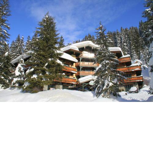 Alpen Appartements Zauchensee