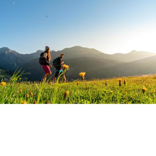 Alpenhotel Wanderniki