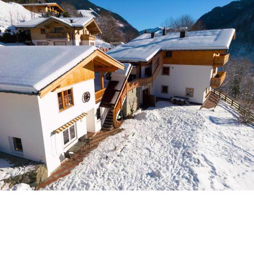 Alpensteinbock Saalbach B