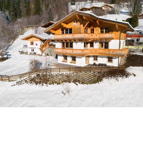 Alpensteinbock Saalbach C
