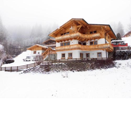 Alpensteinbock Saalbach D