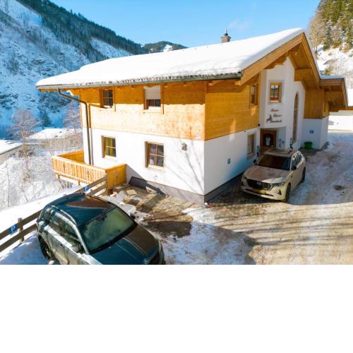 Alpensteinbock Saalbach