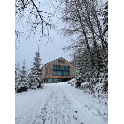 ALPINA Mountain View Apartment