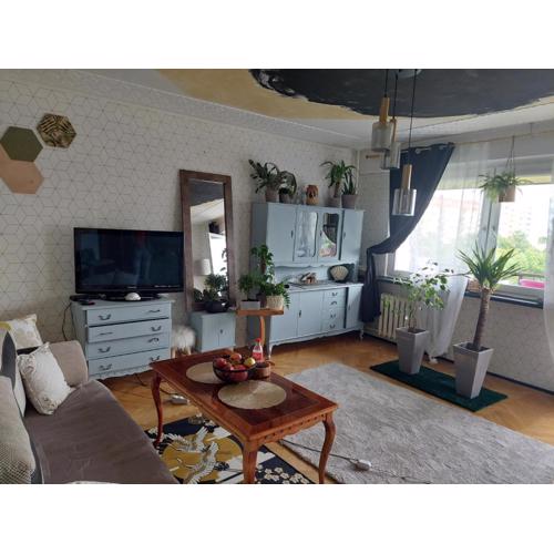 Alterra Apartment,13 legionowa street, flat, mieszkanie 41